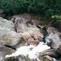 AUS QLD Babinda 2001JUL17 Boulders 006  How much rainfall do they get you ask? : 2001, 2001 The "Gruesome Twosome" Australian Tour, Australia, Babinda, Boulders, Date, July, Month, Places, QLD, Trips, Year